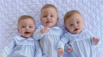 رواية ترويض الاسد (كاملة جميع الفصول) بقلم شيماء رمضان