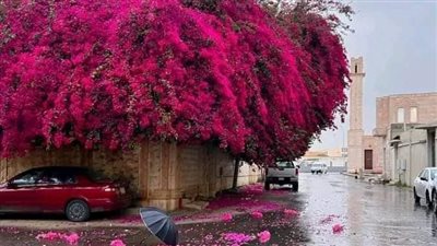 رواية احبني ابن الاكابر بقلم شيماء صبحي كاملة