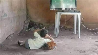 رواية ليعشقها قلبي كاملة الاجزاء