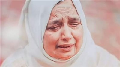 امي والبامبرز