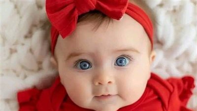رواية عشق بقلب عنيد الفصل الرابع للكاتبه زهرة الربيع