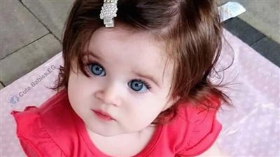 روايه لم تكن البدايه سعيده بقلم رودى عبد الحميد