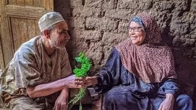 ليته كان جديد