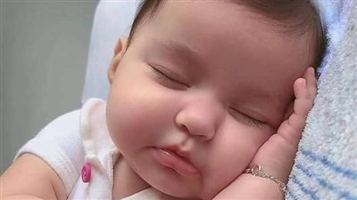 رواية صراع الذئاب كامله جميع الاجزاء