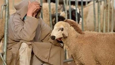 قصه جوزي وجارتي