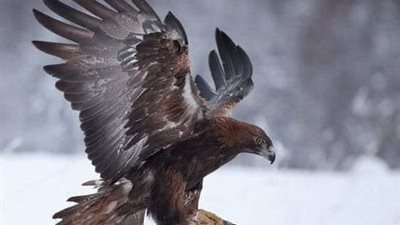 رجل عصي ربه ٤٠ سنه