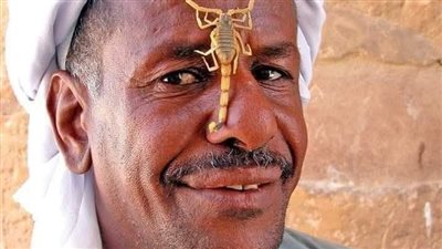 واحد صحبي