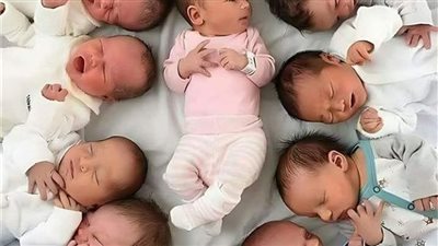 رواية شهد حياتي للكاتبة سوما العربي