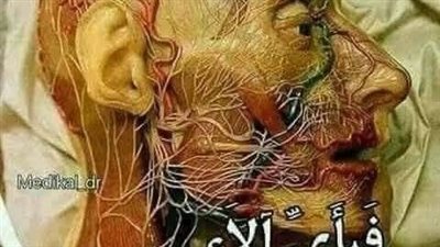 قرأتها فأدمعت عيناي