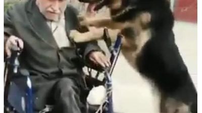 الملياردير