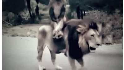 لا شيء يستحق أن تكون جبانا 