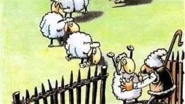 موقع أيام نيوز