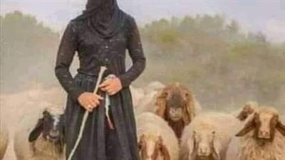 قصة وعبرة 