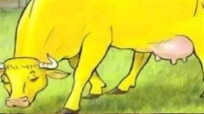 حكاية كامله 